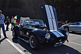 Trying to figure out which of these Cobras is real or not.